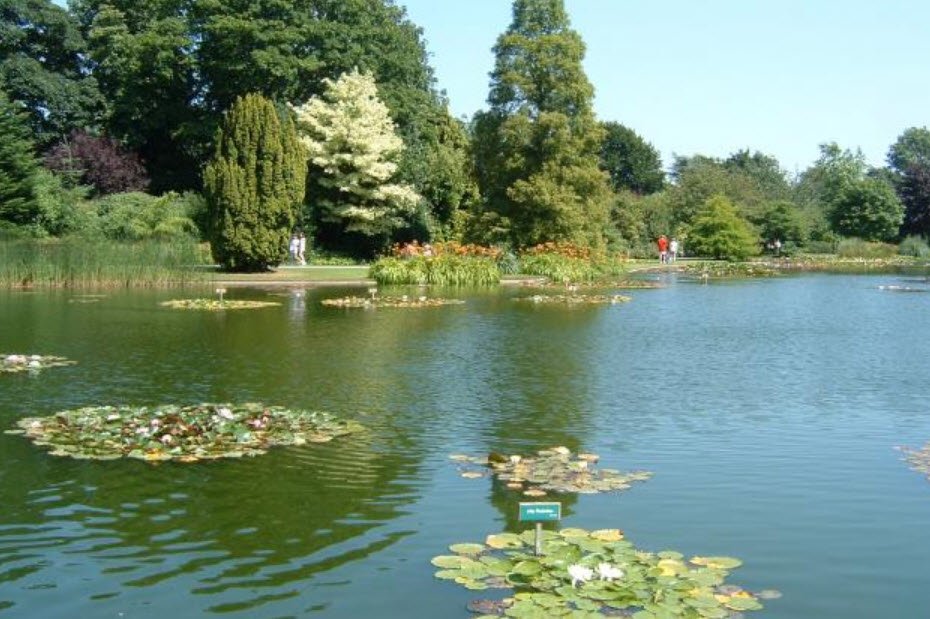 Burnby Hall Gardens, Pocklington, United Kingdom